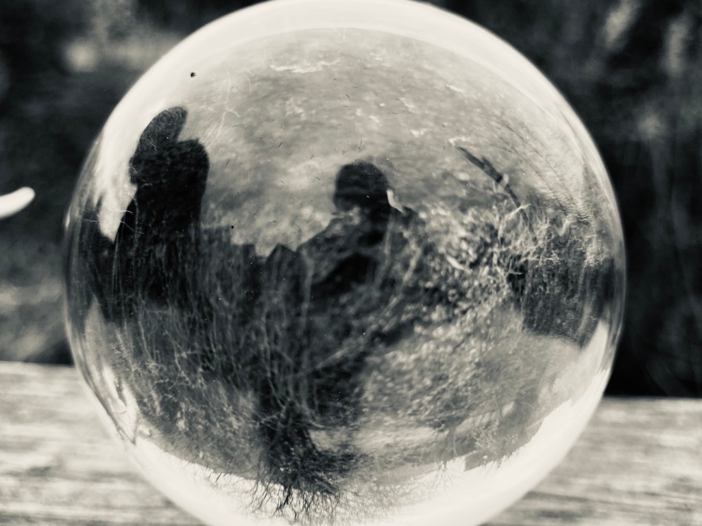 Die Wurzeln bestimmen den Weg,&nbsp;2023